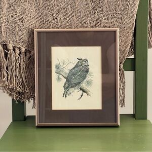 Vintage Framed Owl Print Wall Art Nature Illustration